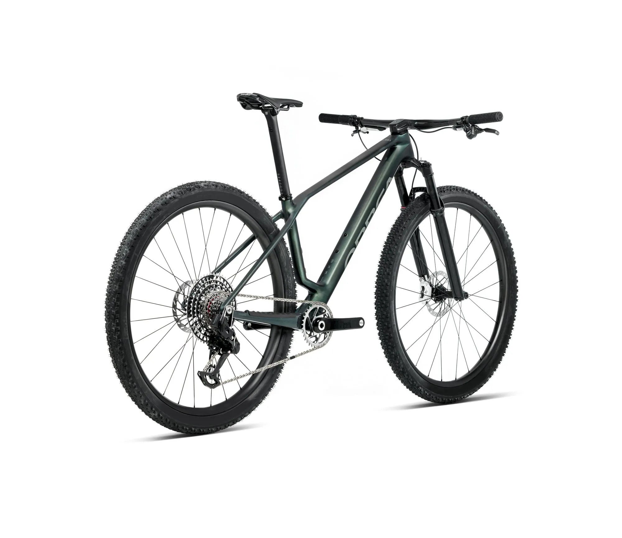 T218TTCC-FA-BACK-ALMA_MLTD